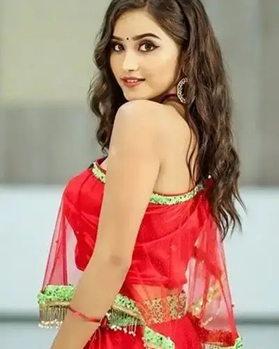 Call Girls Service Tiruvadanai